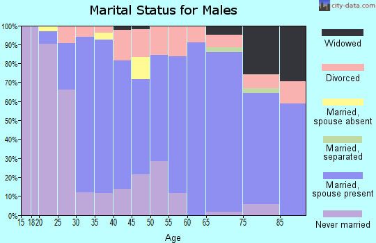 Zip code 16153 marital status for males