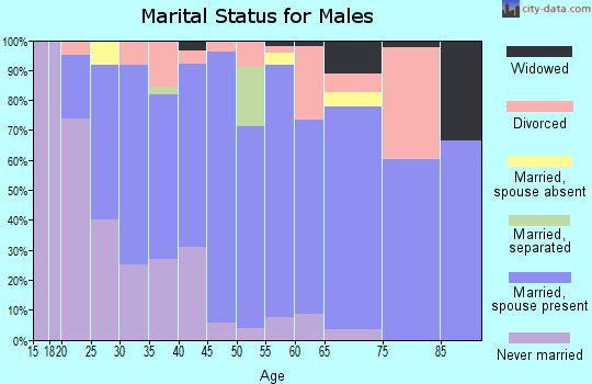 Zip code 16156 marital status for males