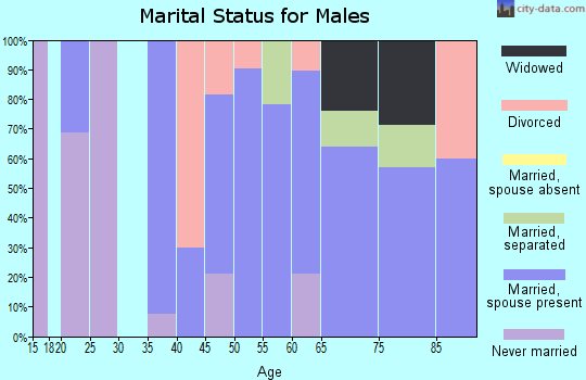 Zip code 16161 marital status for males