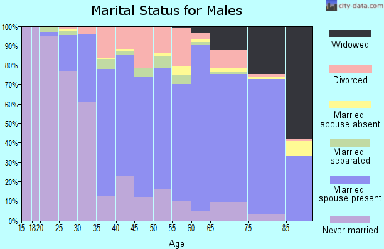 Zip code 16201 marital status for males