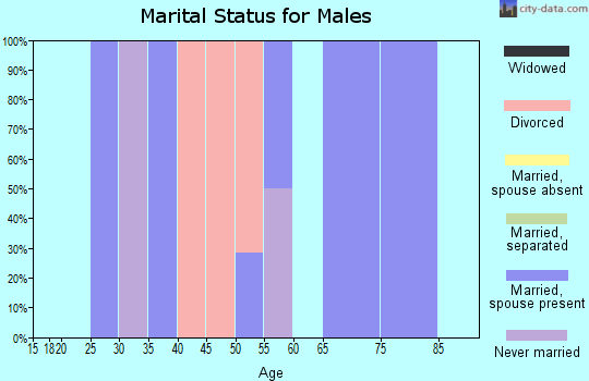 Zip code 16213 marital status for males