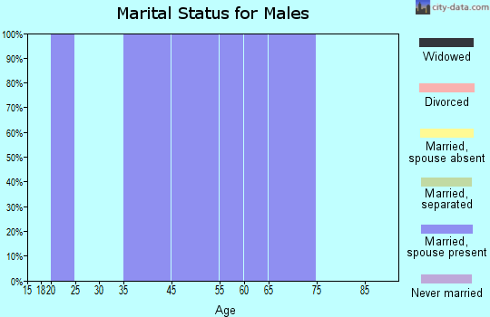 Zip code 16234 marital status for males
