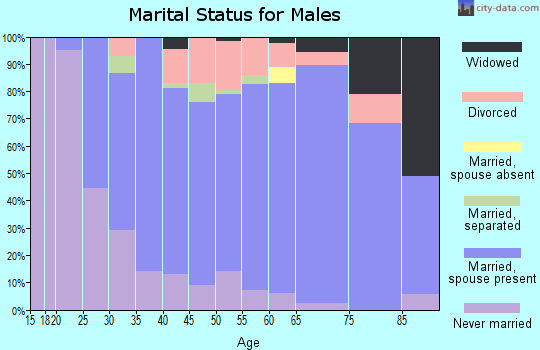 Zip code 16242 marital status for males
