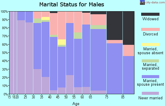 Zip code 16248 marital status for males