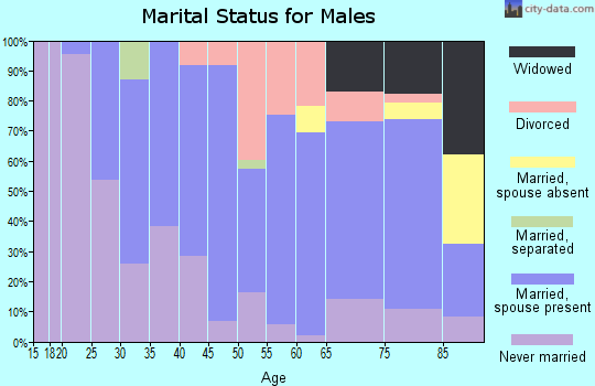 Zip code 16255 marital status for males