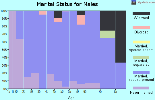 Zip code 16256 marital status for males