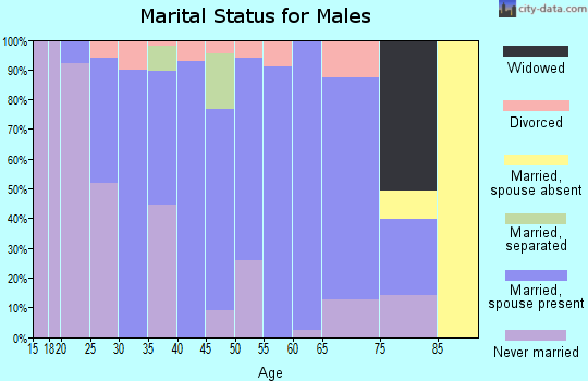 Zip code 16258 marital status for males