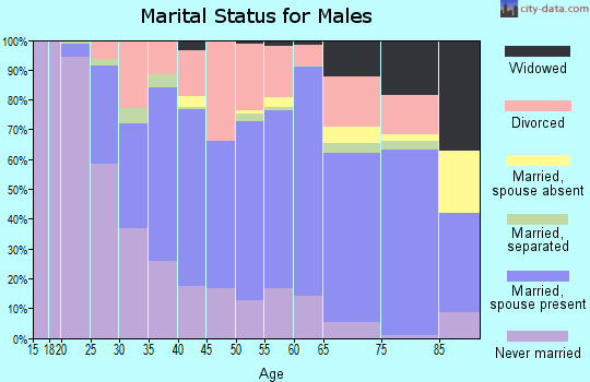Zip code 16301 marital status for males
