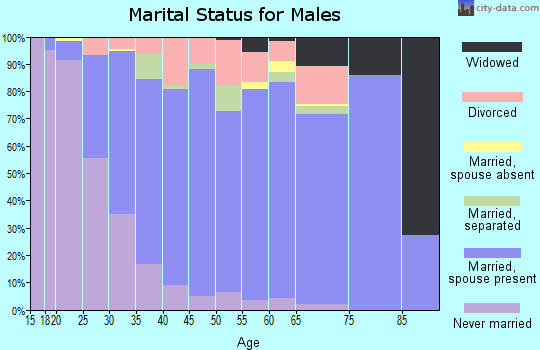 Zip code 16314 marital status for males