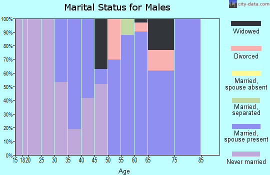 Zip code 16319 marital status for males