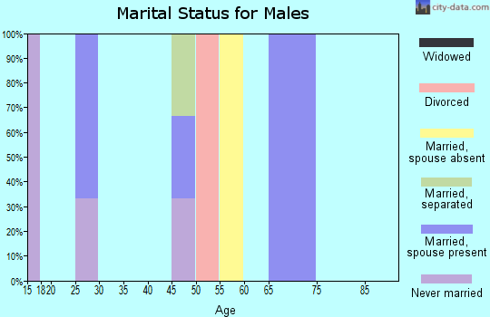 Zip code 16321 marital status for males