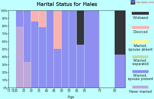Zip code 16326 marital status for males