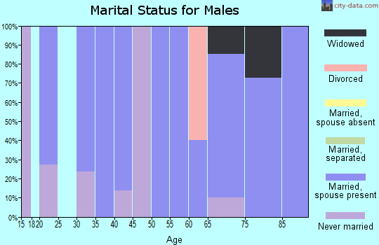 Zip code 16334 marital status for males