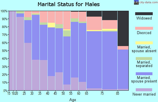 Zip code 16335 marital status for males