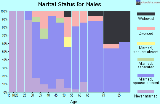 Zip code 16340 marital status for males