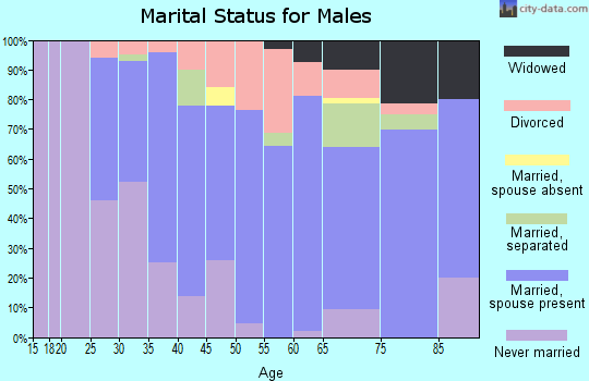 Zip code 16341 marital status for males