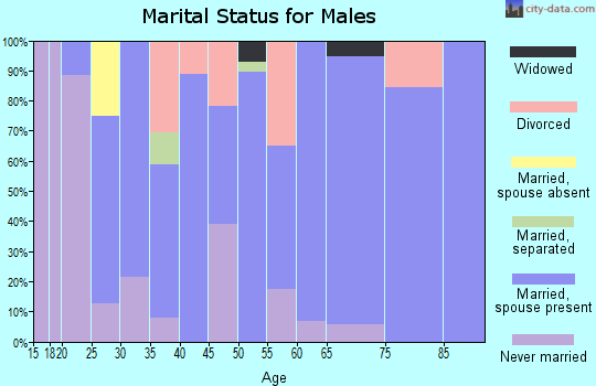Zip code 16346 marital status for males