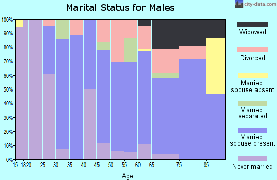 Zip code 16351 marital status for males