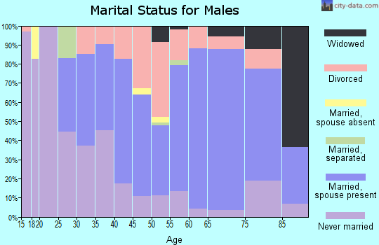 Zip code 16353 marital status for males