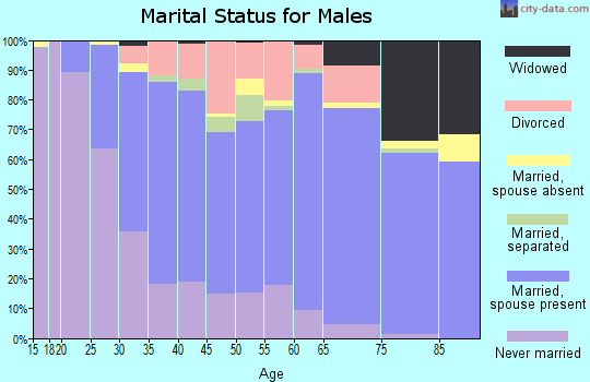 Zip code 16354 marital status for males