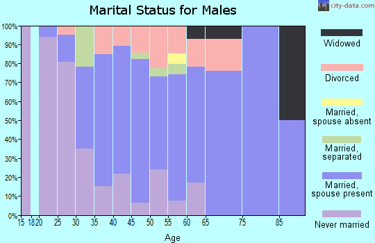 Zip code 16362 marital status for males