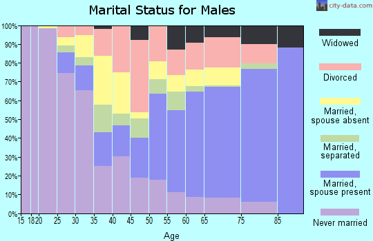 Zip code 16401 marital status for males