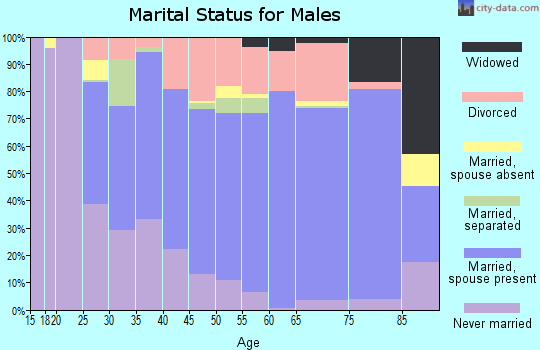 Zip code 16407 marital status for males