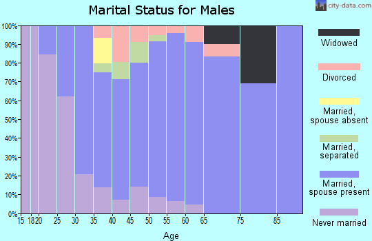 Zip code 16410 marital status for males
