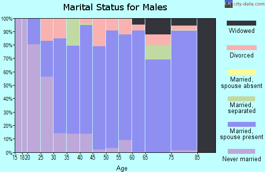 Zip code 16417 marital status for males