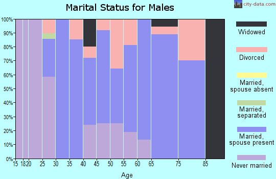 Zip code 16420 marital status for males