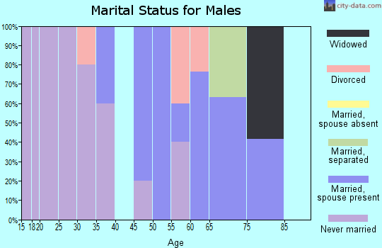 Zip code 16427 marital status for males
