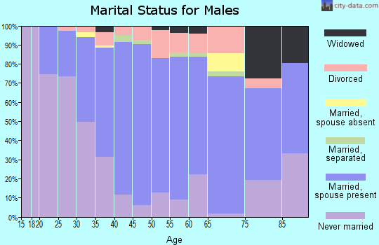 Zip code 16438 marital status for males
