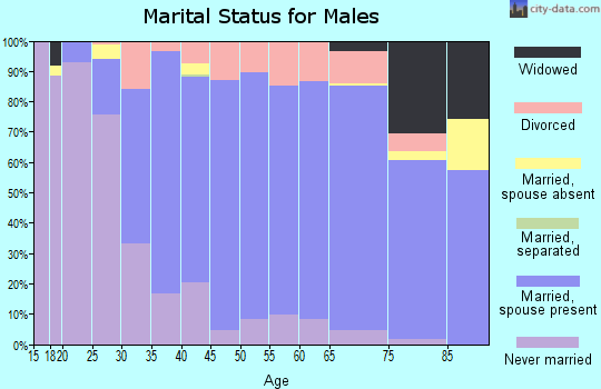 Zip code 16441 marital status for males