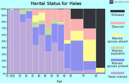 Zip code 16507 marital status for males