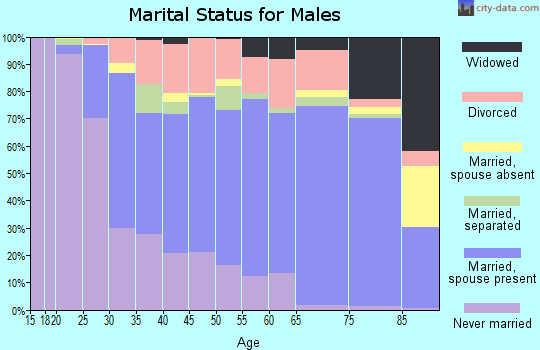 Zip code 16602 marital status for males