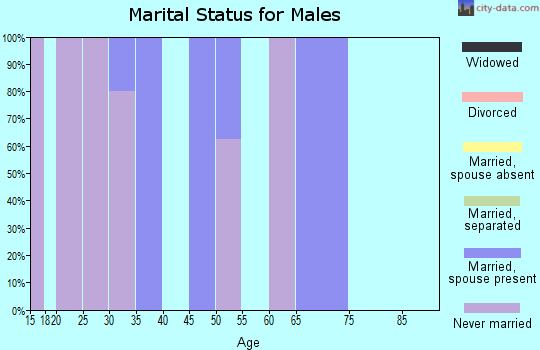 Zip code 16616 marital status for males