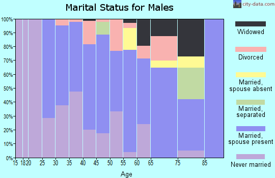 Zip code 16617 marital status for males