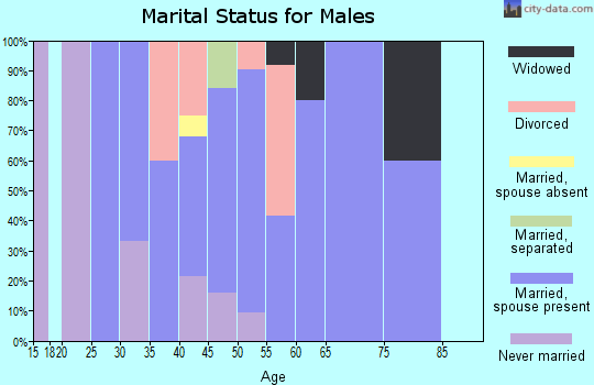 Zip code 16620 marital status for males