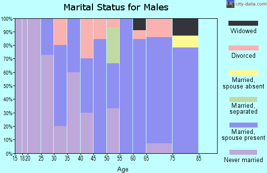 Zip code 16621 marital status for males