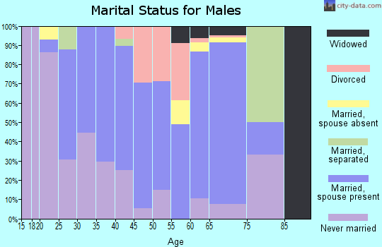 Zip code 16625 marital status for males