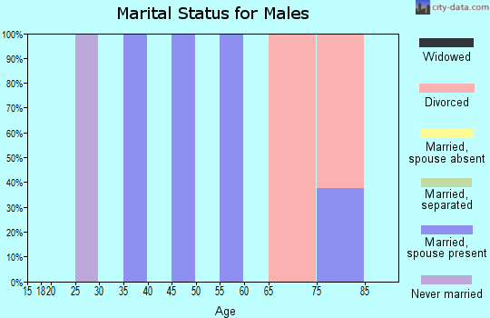 Zip code 16633 marital status for males