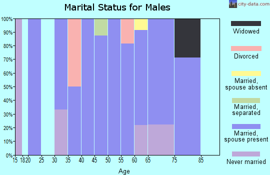 Zip code 16634 marital status for males