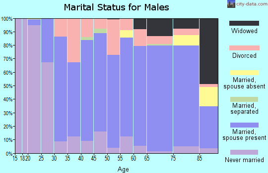 Zip code 16635 marital status for males