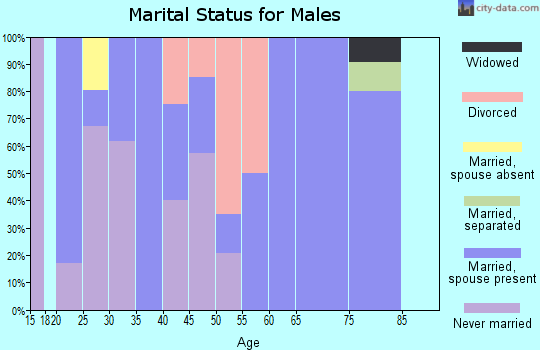 Zip code 16637 marital status for males