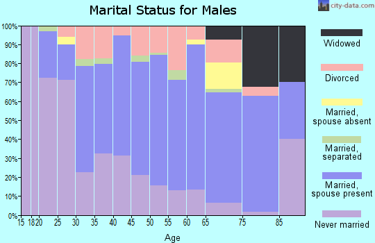 Zip code 16641 marital status for males