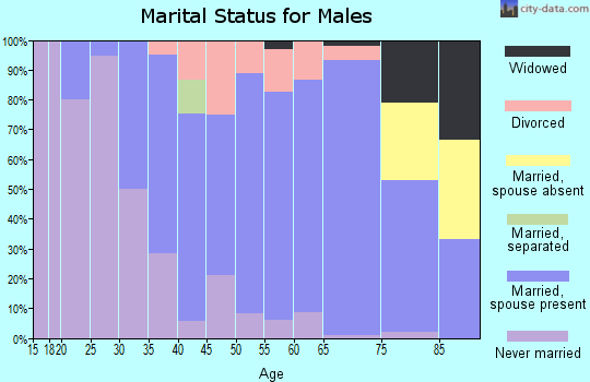 Zip code 16646 marital status for males