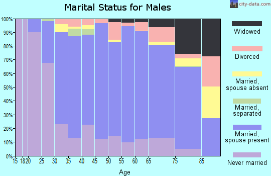 Zip code 16648 marital status for males