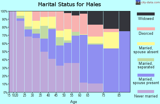 Zip code 16651 marital status for males