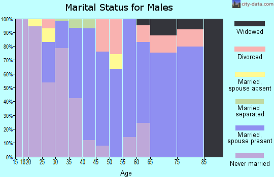 Zip code 16656 marital status for males