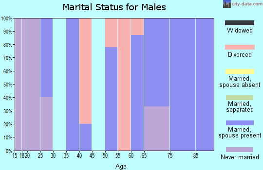 Zip code 16659 marital status for males